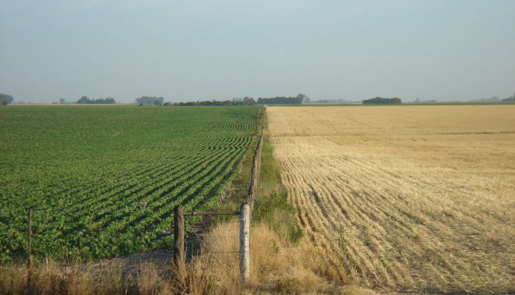 agropecuaria